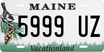 ME license plate 5999UZ