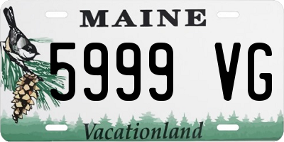 ME license plate 5999VG