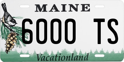 ME license plate 6000TS