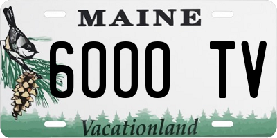 ME license plate 6000TV