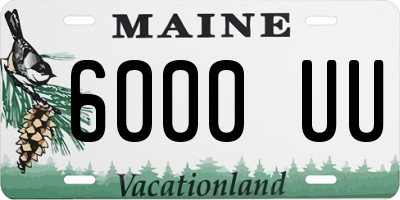 ME license plate 6000UU