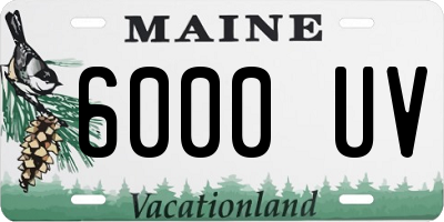 ME license plate 6000UV