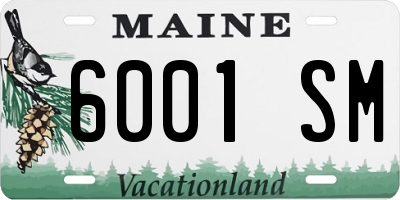 ME license plate 6001SM