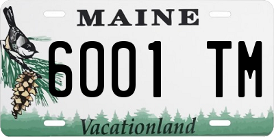 ME license plate 6001TM