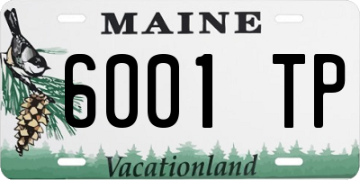 ME license plate 6001TP