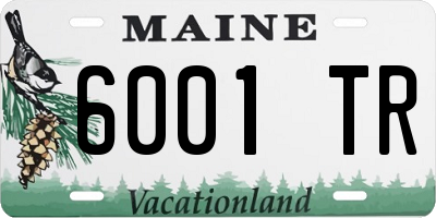 ME license plate 6001TR