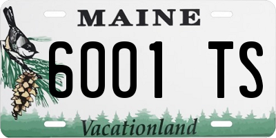 ME license plate 6001TS