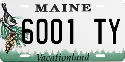ME license plate 6001TY