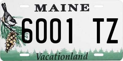 ME license plate 6001TZ