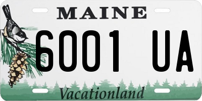 ME license plate 6001UA