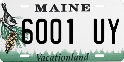 ME license plate 6001UY