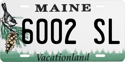 ME license plate 6002SL