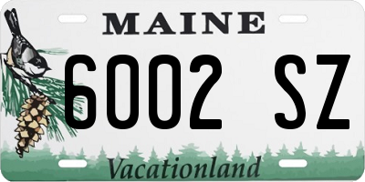 ME license plate 6002SZ