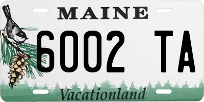 ME license plate 6002TA