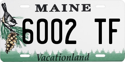ME license plate 6002TF