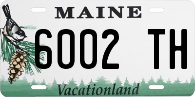 ME license plate 6002TH