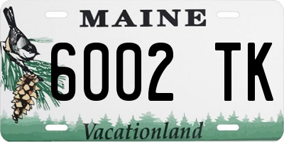 ME license plate 6002TK