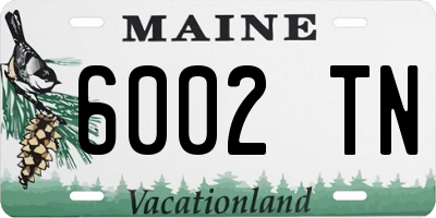 ME license plate 6002TN