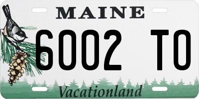 ME license plate 6002TO