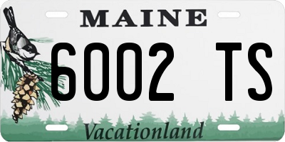 ME license plate 6002TS