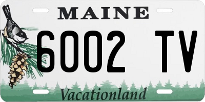 ME license plate 6002TV