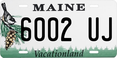ME license plate 6002UJ