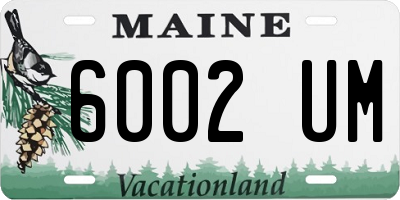 ME license plate 6002UM