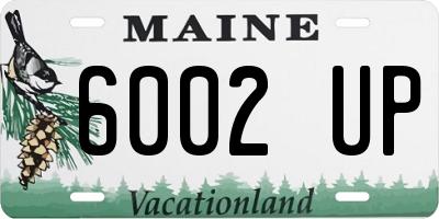 ME license plate 6002UP