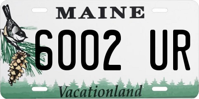 ME license plate 6002UR