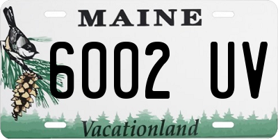 ME license plate 6002UV