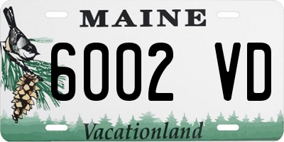 ME license plate 6002VD