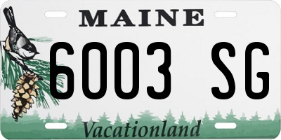 ME license plate 6003SG
