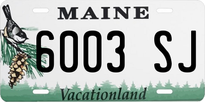 ME license plate 6003SJ