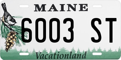 ME license plate 6003ST