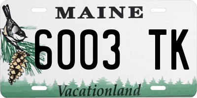 ME license plate 6003TK