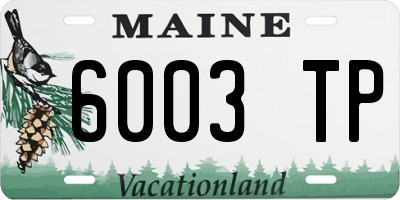 ME license plate 6003TP