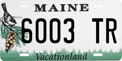 ME license plate 6003TR