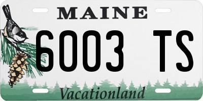 ME license plate 6003TS