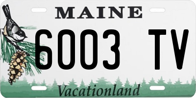 ME license plate 6003TV