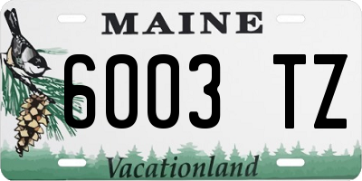 ME license plate 6003TZ