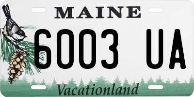 ME license plate 6003UA