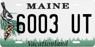 ME license plate 6003UT