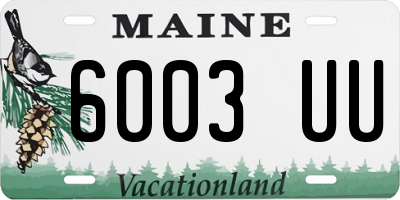 ME license plate 6003UU