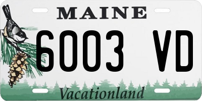 ME license plate 6003VD