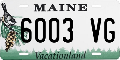 ME license plate 6003VG