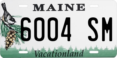 ME license plate 6004SM