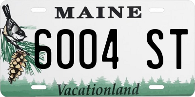 ME license plate 6004ST