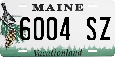 ME license plate 6004SZ