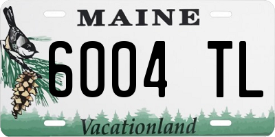ME license plate 6004TL
