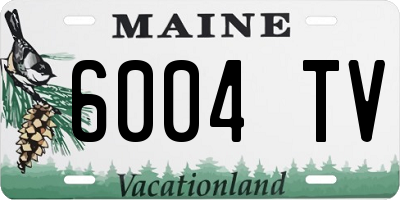 ME license plate 6004TV